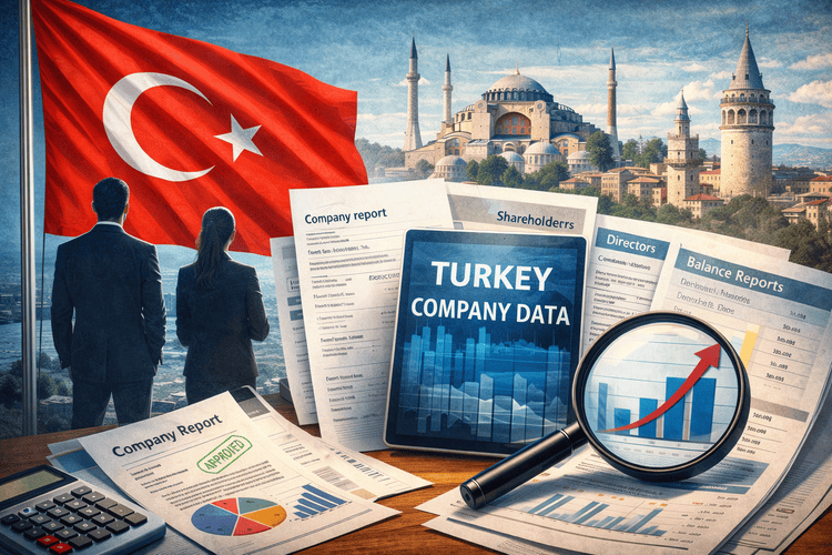 Reporting System Turkey How To Get Company Data in Turkey